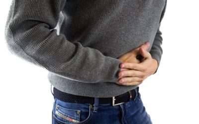 Candida explained