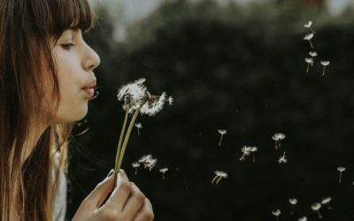 Allergies 5 Common Causes And Natural Remedies For Allergy Sufferers